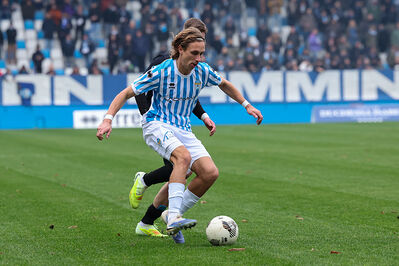 SPAL ARS ET LABOR - MESOLA