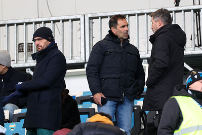 SPAL ARS ET LABOR - MESOLA