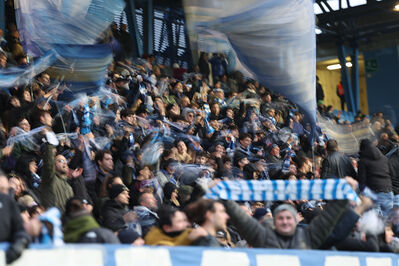 SPAL ARS ET LABOR - MESOLA