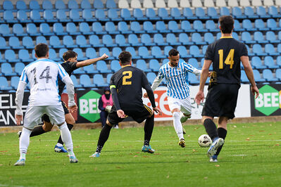 SPAL ARS ET LABOR - MESOLA