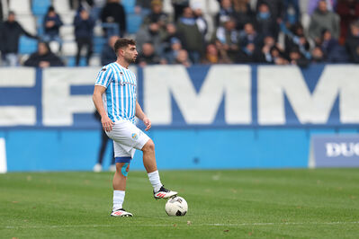 SPAL ARS ET LABOR - MESOLA