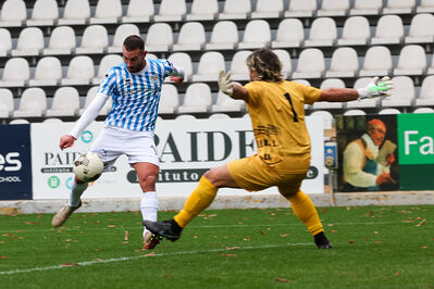 SPAL ARS ET LABOR - MESOLA