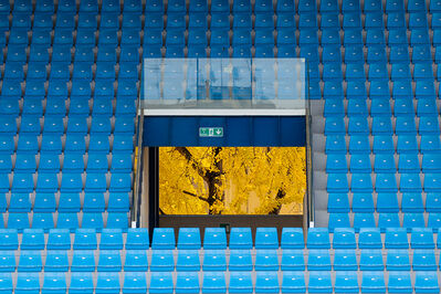 SPAL ARS ET LABOR - MESOLA