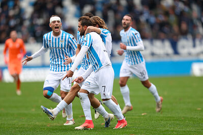 SPAL ARS ET LABOR - MESOLA
