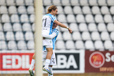 SPAL ARS ET LABOR - MESOLA