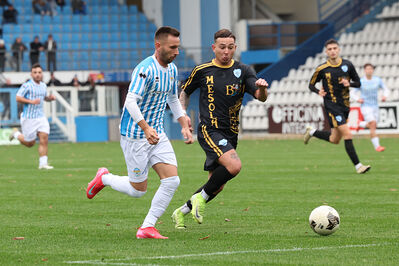 SPAL ARS ET LABOR - MESOLA