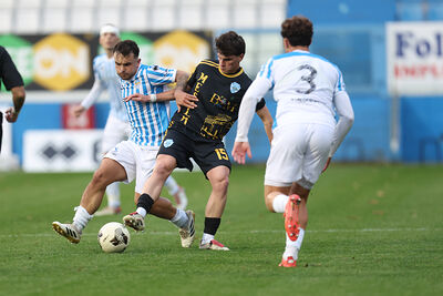 SPAL ARS ET LABOR - MESOLA