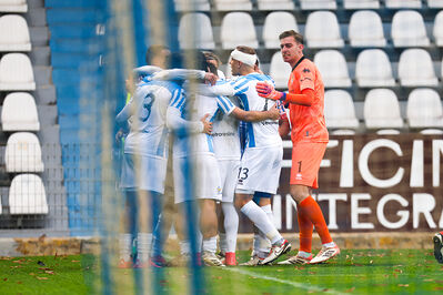 SPAL ARS ET LABOR - MESOLA