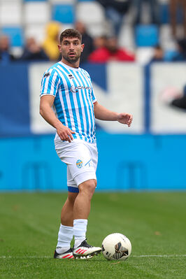 SPAL ARS ET LABOR - MESOLA