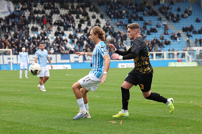 SPAL ARS ET LABOR - MESOLA