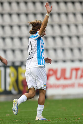 SPAL ARS ET LABOR - MESOLA