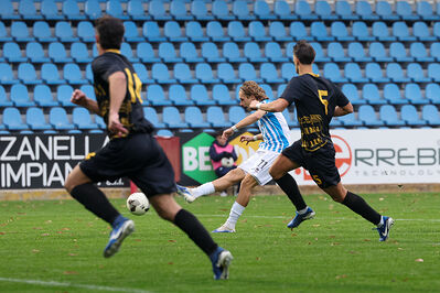 SPAL ARS ET LABOR - MESOLA