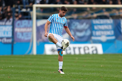 SPAL ARS ET LABOR - MESOLA