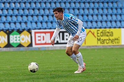 SPAL ARS ET LABOR - MESOLA