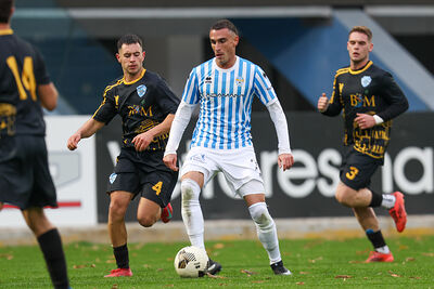 SPAL ARS ET LABOR - MESOLA