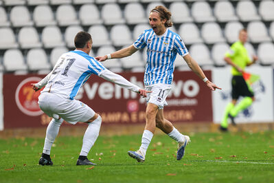 SPAL ARS ET LABOR - MESOLA