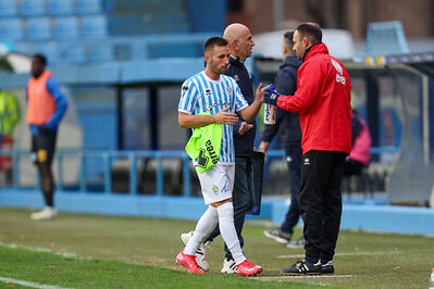 SPAL ARS ET LABOR - MESOLA