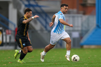 SPAL ARS ET LABOR - MESOLA