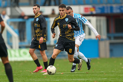 SPAL ARS ET LABOR - MESOLA