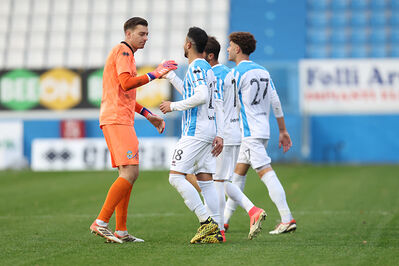 SPAL ARS ET LABOR - MESOLA