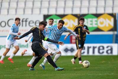 SPAL ARS ET LABOR - MESOLA