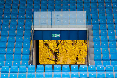 SPAL ARS ET LABOR - MESOLA