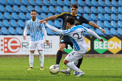 SPAL ARS ET LABOR - MESOLA