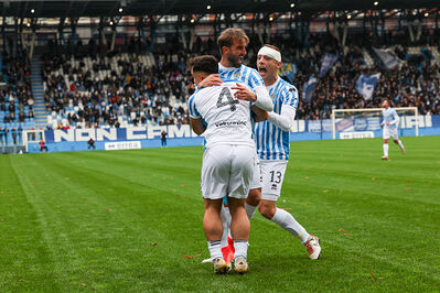 SPAL ARS ET LABOR - MESOLA