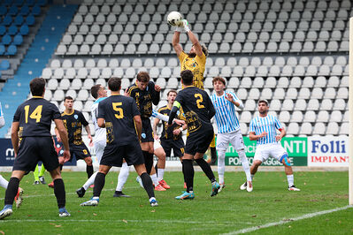 SPAL ARS ET LABOR - MESOLA