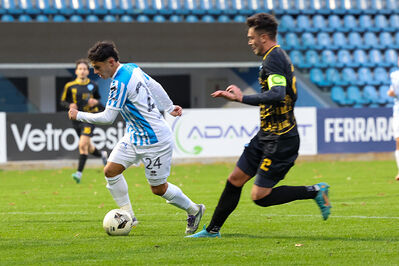 SPAL ARS ET LABOR - MESOLA
