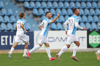 SPAL ARS ET LABOR - MESOLA