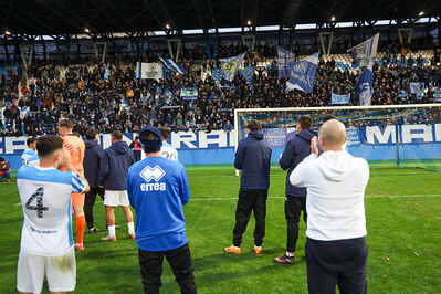 SPAL ARS ET LABOR - MESOLA