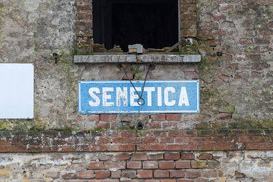 SCONTRO TRENO CAMION SENETICA