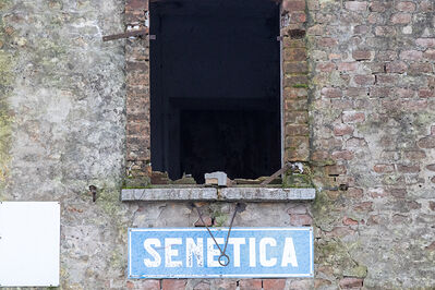 SCONTRO TRENO CAMION SENETICA