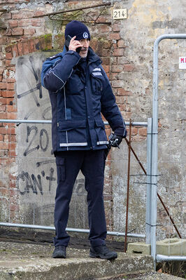 SCONTRO TRENO CAMION SENETICA