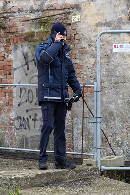 SCONTRO TRENO CAMION SENETICA