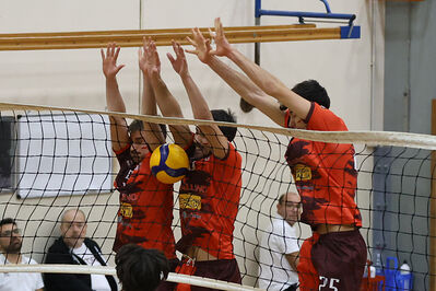 CAVALLINO 4 TORRI - HOKKAIDO BOLOGNA