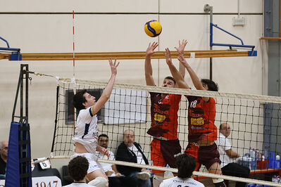 CAVALLINO 4 TORRI - HOKKAIDO BOLOGNA