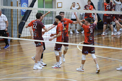 CAVALLINO 4 TORRI - HOKKAIDO BOLOGNA