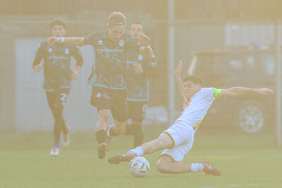 SANPAIMOLA - SPAL ARS ET LABOR