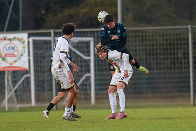 SANPAIMOLA - SPAL ARS ET LABOR