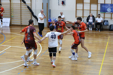 CAVALLINO 4 TORRI - HOKKAIDO BOLOGNA