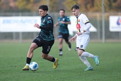 SANPAIMOLA - SPAL ARS ET LABOR