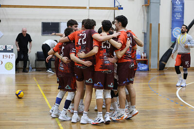 CAVALLINO 4 TORRI - HOKKAIDO BOLOGNA