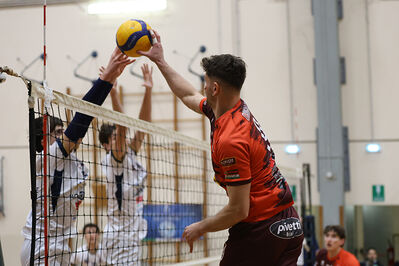 CAVALLINO 4 TORRI - HOKKAIDO BOLOGNA