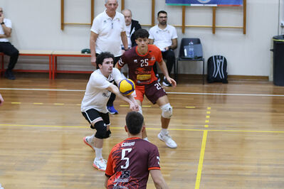 CAVALLINO 4 TORRI - HOKKAIDO BOLOGNA