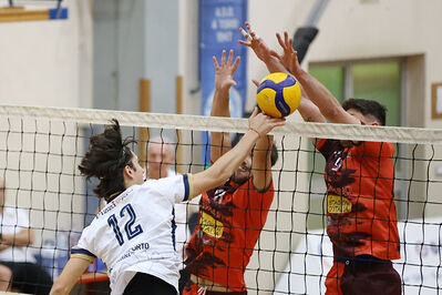 CAVALLINO 4 TORRI - HOKKAIDO BOLOGNA