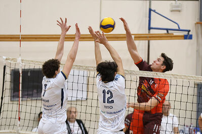 CAVALLINO 4 TORRI - HOKKAIDO BOLOGNA