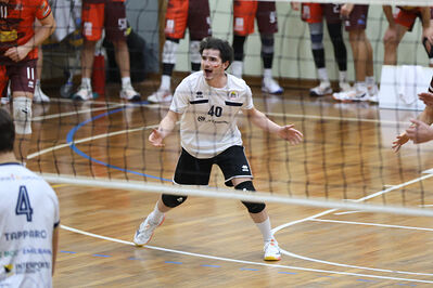 CAVALLINO 4 TORRI - HOKKAIDO BOLOGNA