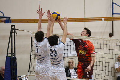 CAVALLINO 4 TORRI - HOKKAIDO BOLOGNA